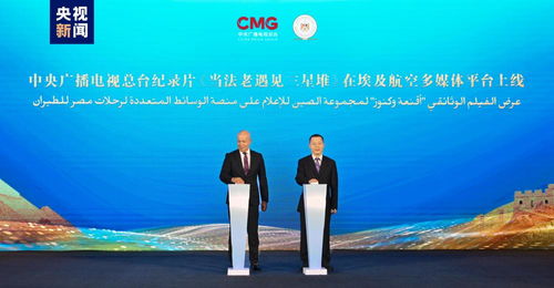 中國新時代深化改革開啟全球合作新篇章 中埃伙伴年人文交流與技術(shù)開發(fā)對話會