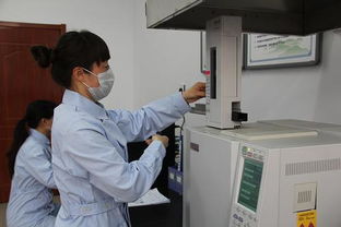 承德市多措并舉推進農產品綜合利用技術開發，賦能農業綠色轉型與產業升級